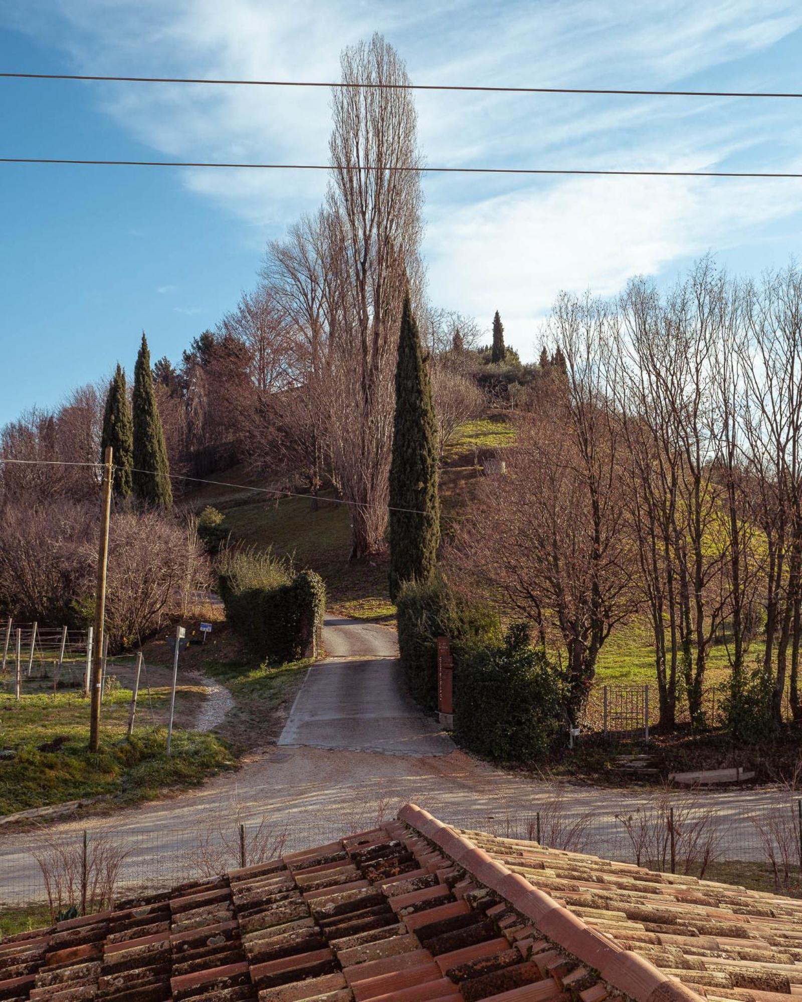 Agriturismo La Vigna Di Sarah Vittorio Veneto Zewnętrze zdjęcie